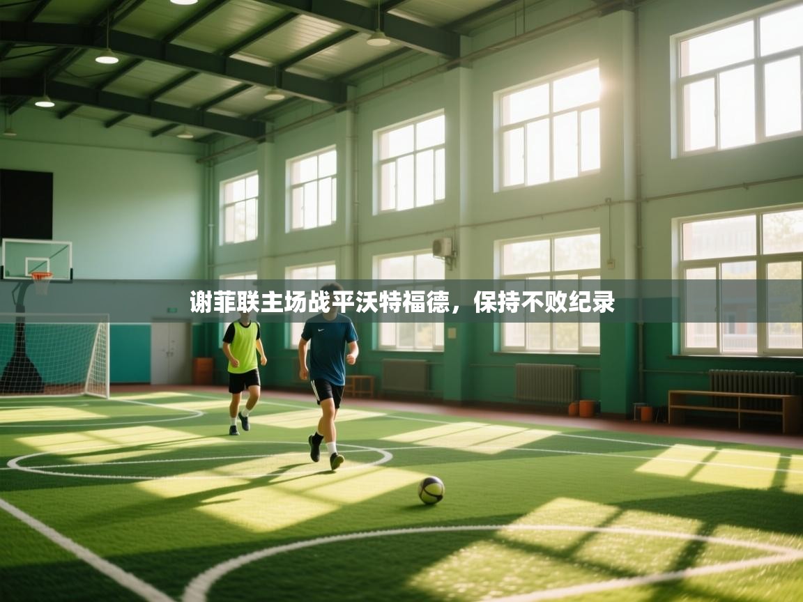 谢菲联主场战平沃特福德，保持不败纪录  第2张