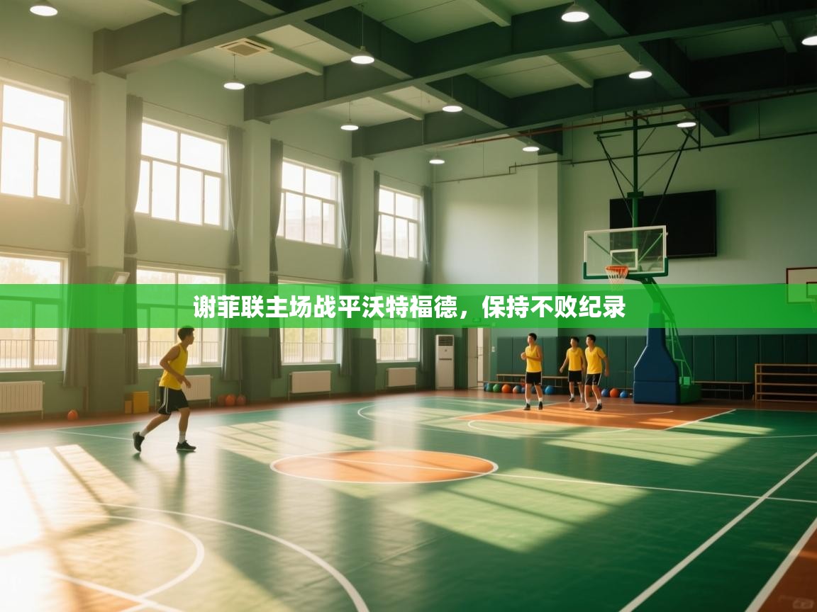 谢菲联主场战平沃特福德，保持不败纪录  第1张