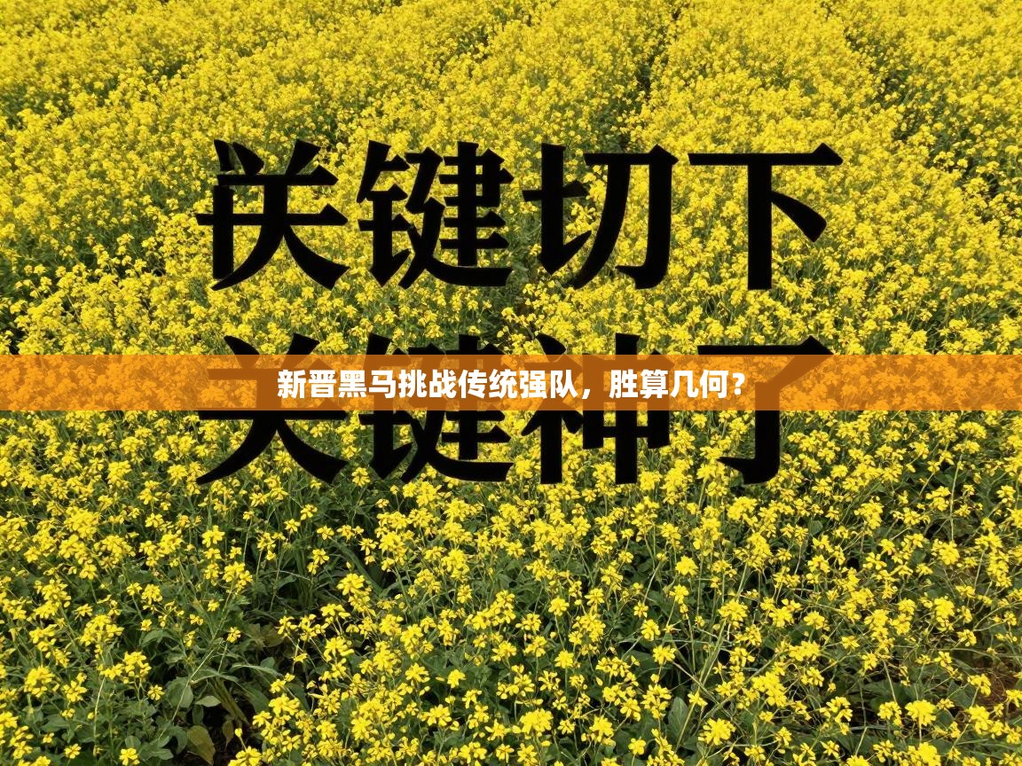 新晋黑马挑战传统强队，胜算几何？  第2张