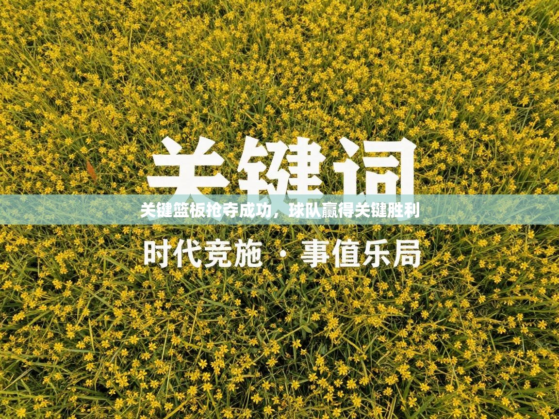关键篮板抢夺成功，球队赢得关键胜利  第1张