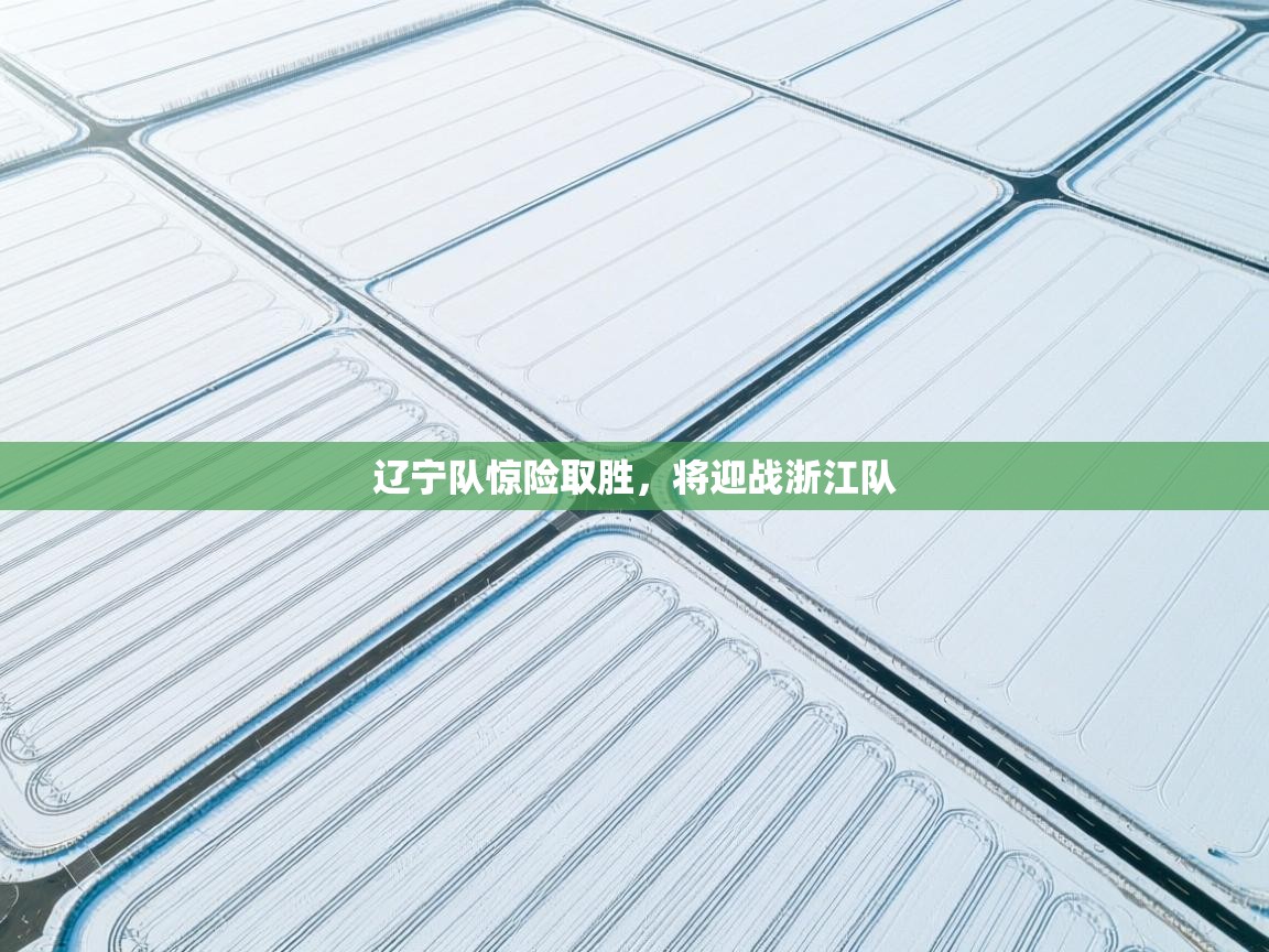 辽宁队惊险取胜，将迎战浙江队  第1张