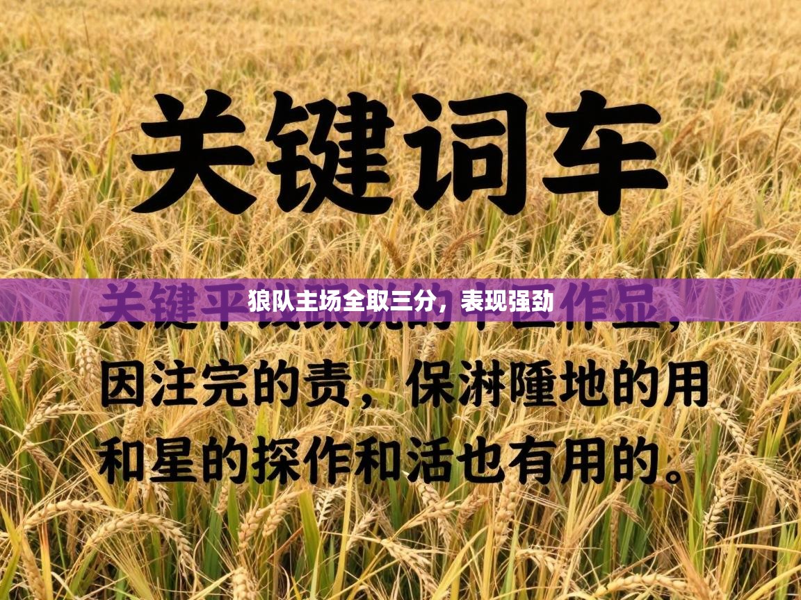 狼队主场全取三分，表现强劲  第1张