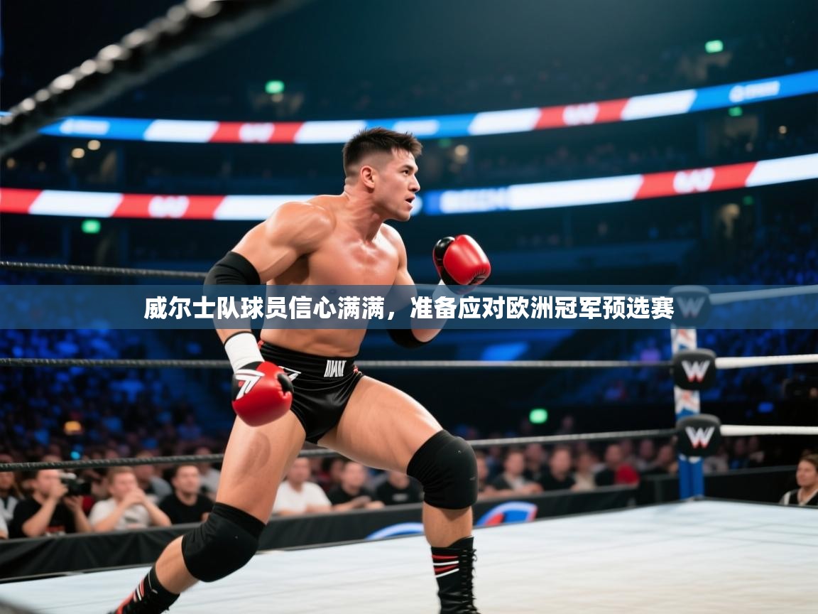 威尔士队球员信心满满，准备应对欧洲冠军预选赛  第2张