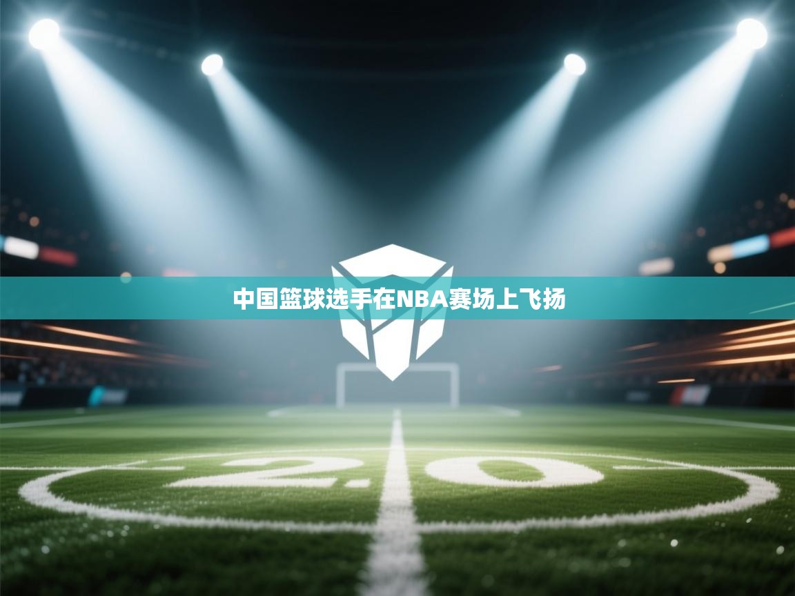 中国篮球选手在NBA赛场上飞扬 第2张